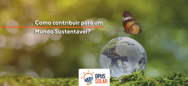 Mundo sustentável: Como contribuir?
